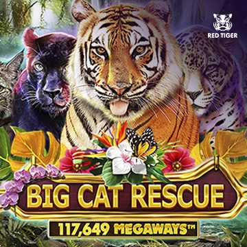 Big Cat Rescue Megaways - FOXYBET77