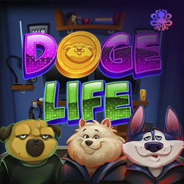 Doge Life - FOXYBET77