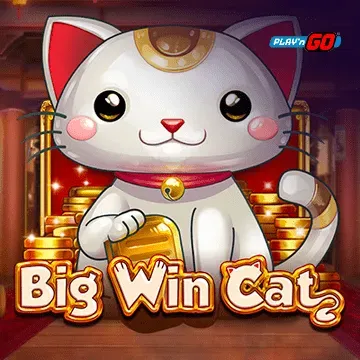 Big Win Cat - FOXYBET77