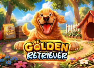 Golden Retriever - FOXYBET77
